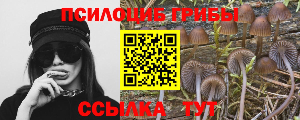 Псилоцибиновые грибы MAGIC MUSHROOMS Ставрополь